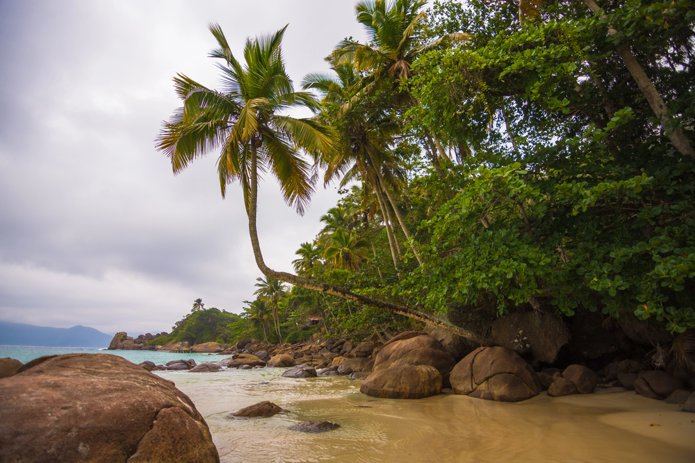 Traslados cómodos y confiables desde Ilha Grande a destinos populares en Brasil con soporte completo al cliente.